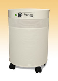 BPA SmokeMuncher Home Smoke Eater by Airpura